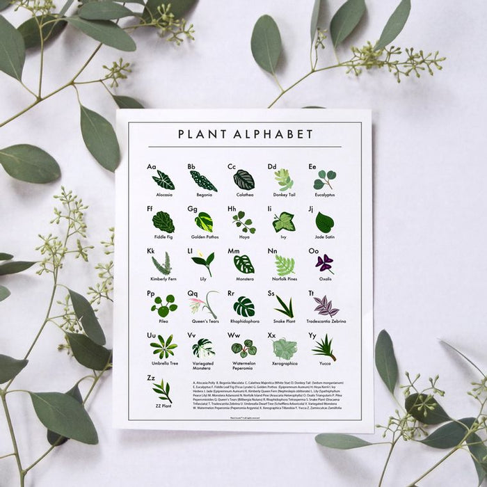 "Plant Alphabet" Print