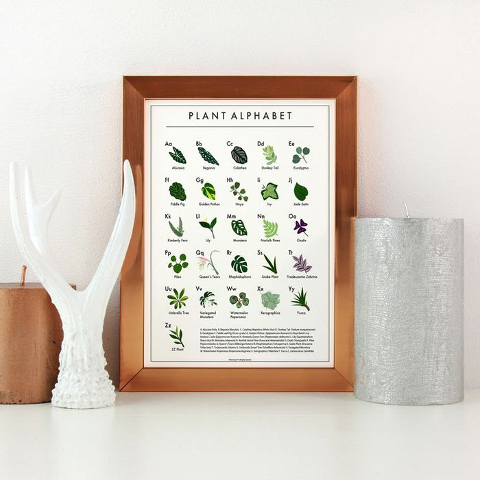 "Plant Alphabet" Print